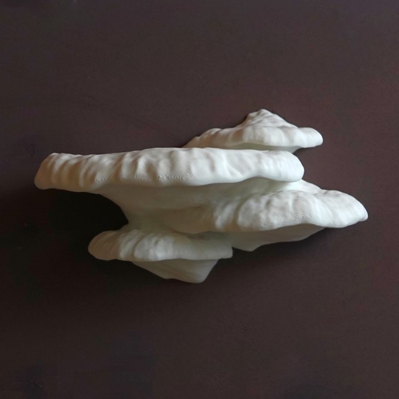 Gazzaladra Unique Wall Shelf “Pinicula” for Party, Living Room, Bedroom - Picture 4 of 7